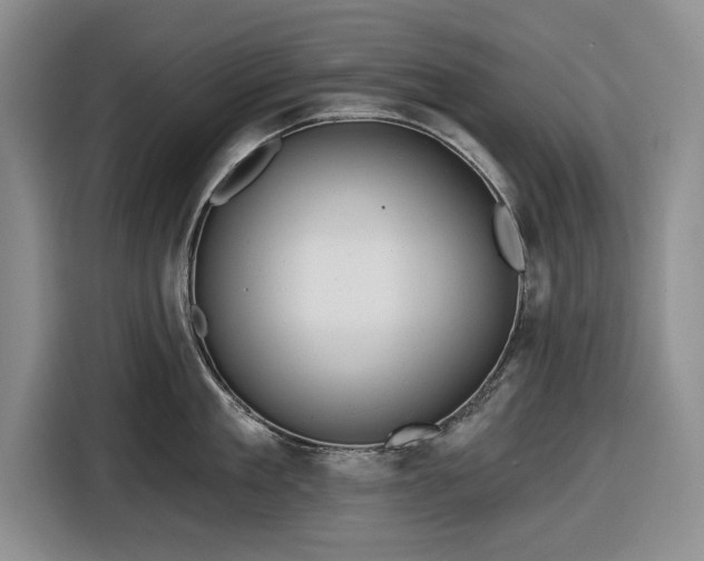 X0000116550909200912171346