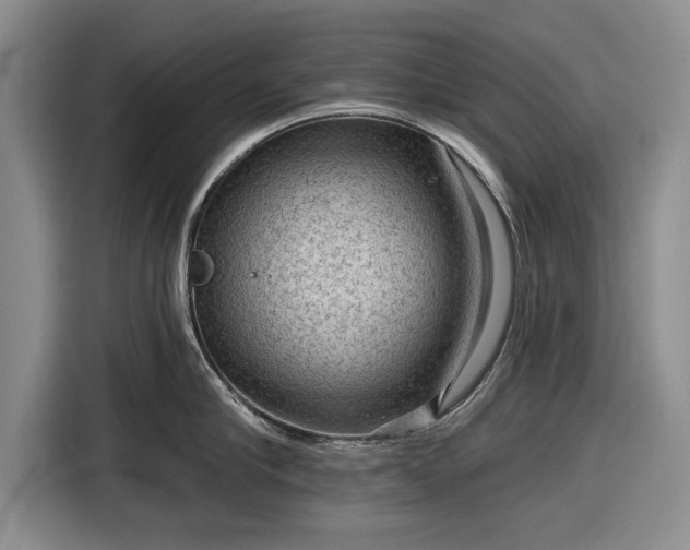 X0000116550910200912171346