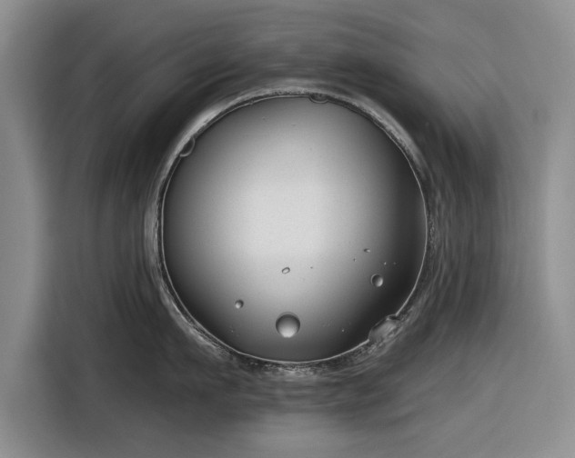 X0000116550911200912171346