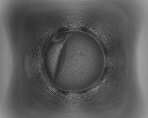 X0000116550913200912171346