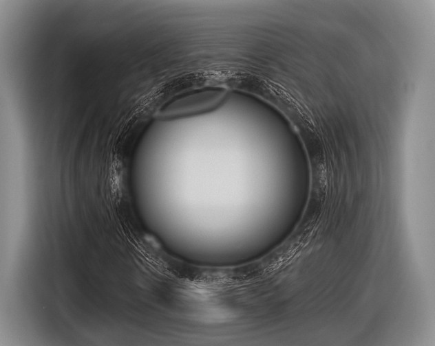 X0000116550914200912171346