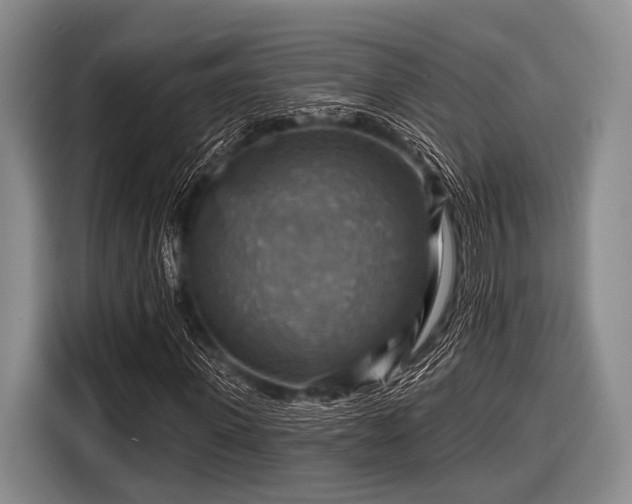 X0000116550915200912171346