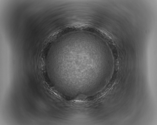 X0000116550917200912171346