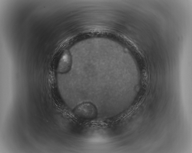 X0000116550918200912171346