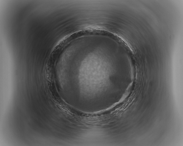 X0000116550919200912171346