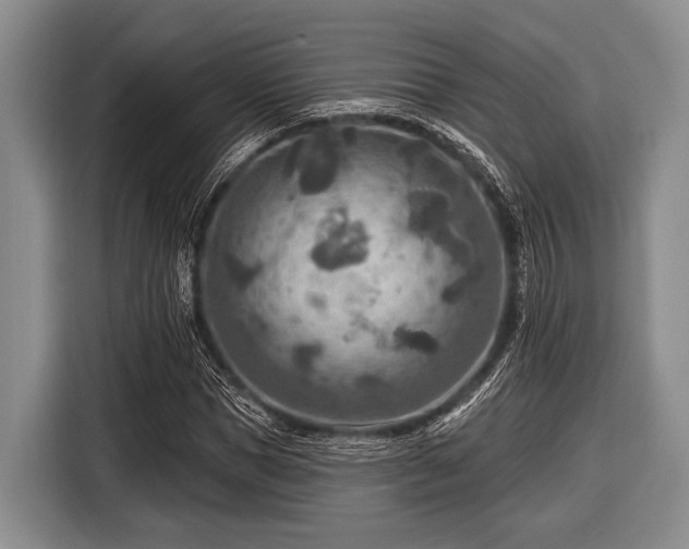 X0000116550921200912171346