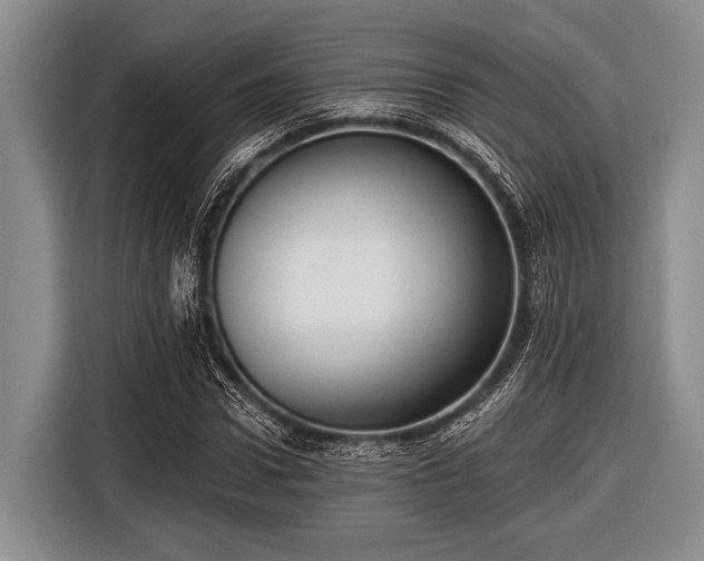 X0000116550922200912171346