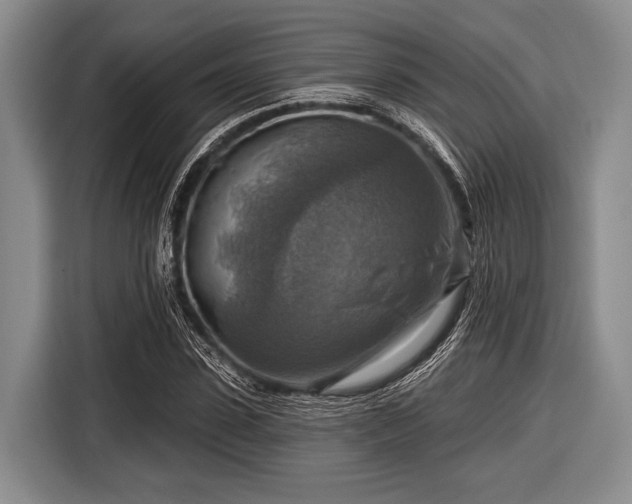 X0000116550923200912171346