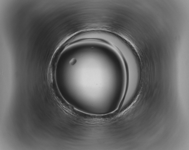 X0000116550925200912171346