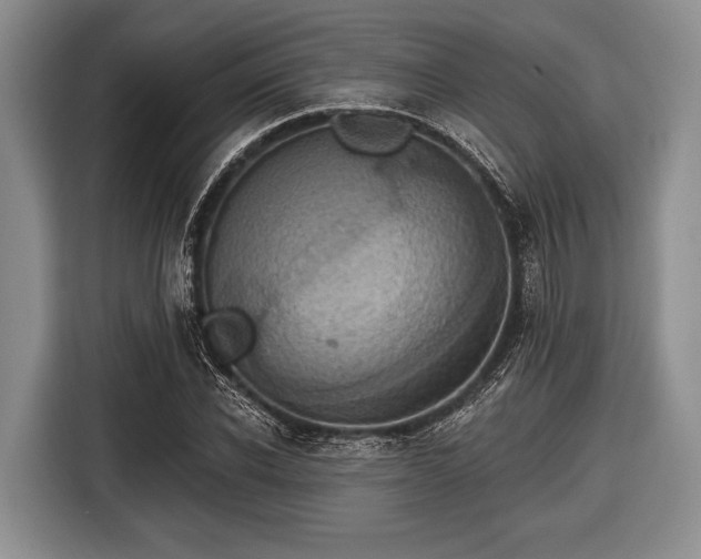 X0000116550926200912171346