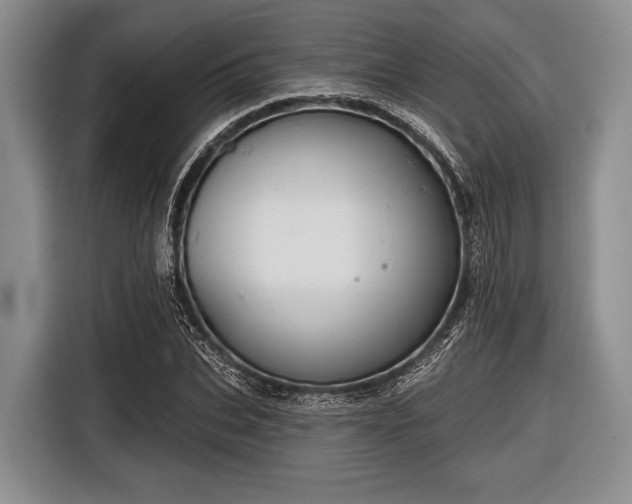 X0000116550927200912171346