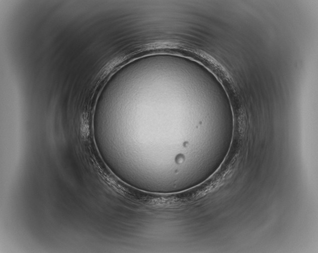 X0000116550929200912171346