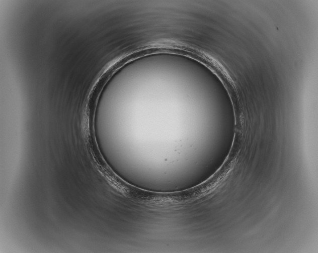 X0000116550931200912171346