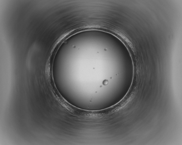 X0000116550933200912171346