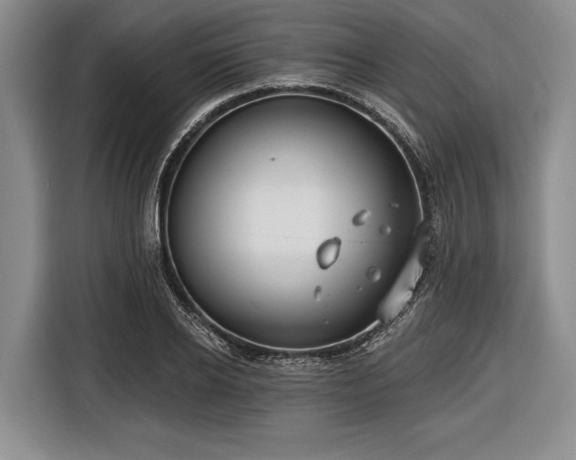 X0000116550934200912171346