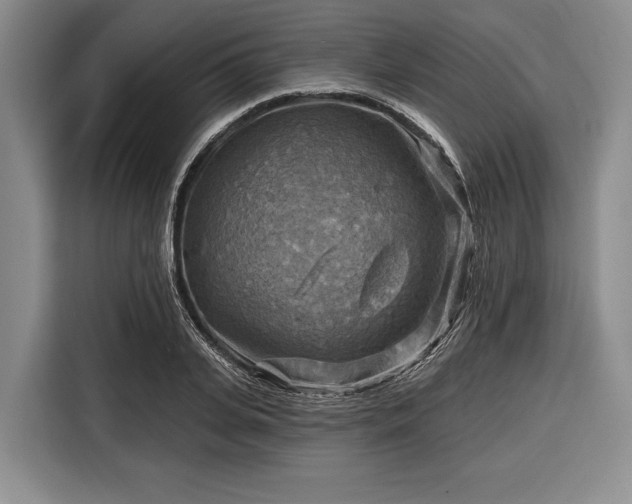 X0000116550935200912171346