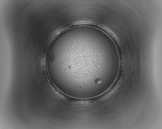 X0000116550937200912171346