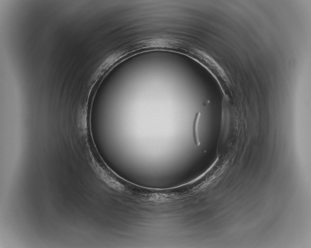 X0000116550938200912171346