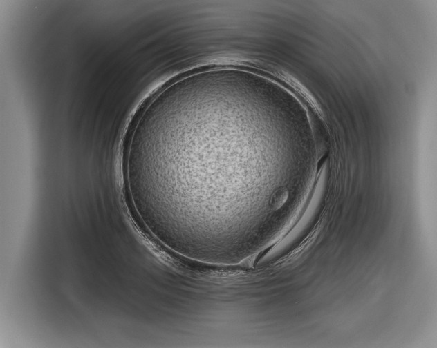 X0000116550939200912171346