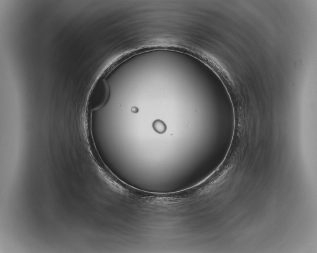 X0000116550942200912171346