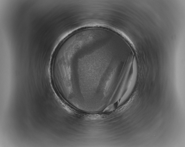 X0000116550943200912171346