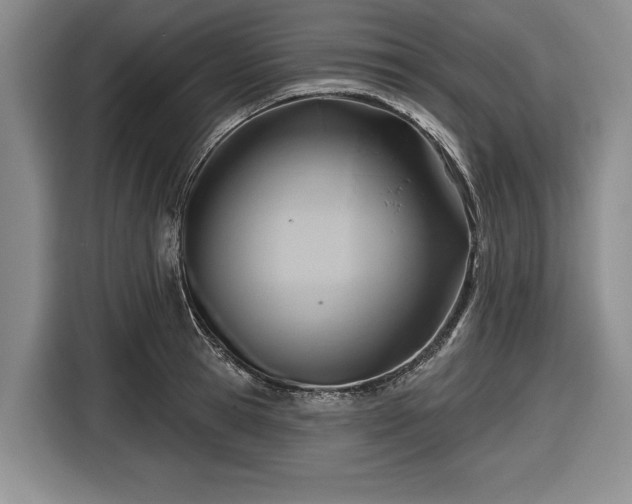 X0000116550945200912171346