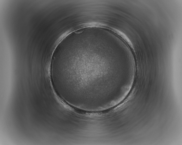 X0000116550946200912171346