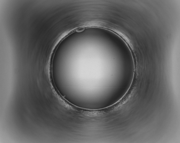 X0000116550949200912171346