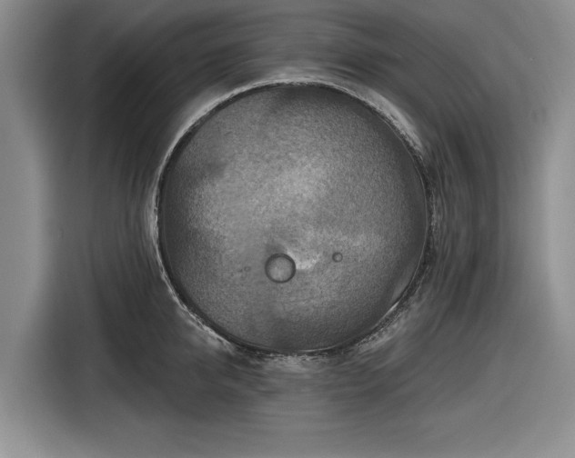 X0000116550950200912171346