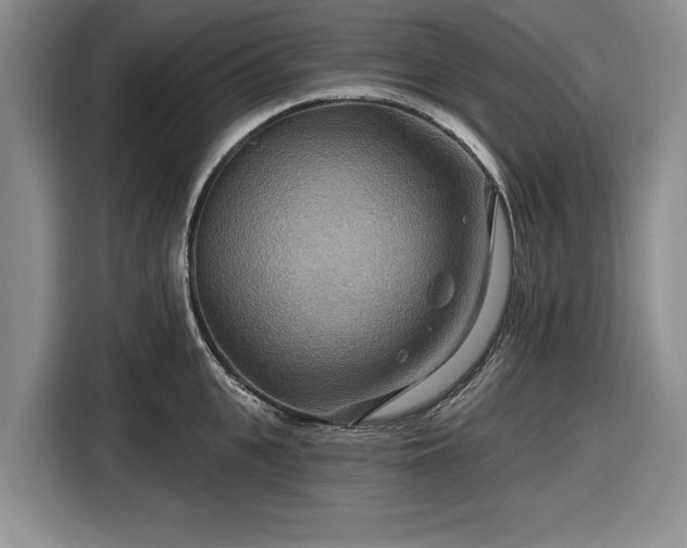 X0000116550951200912171346