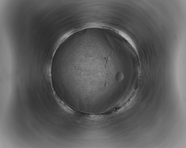 X0000116550954200912171346