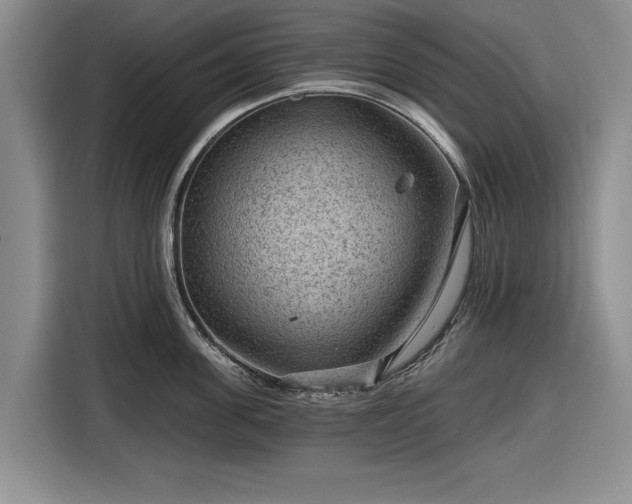 X0000116550955200912171346