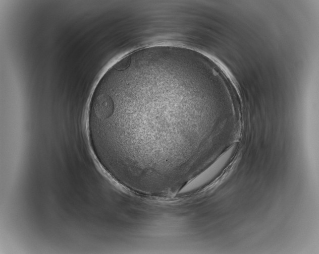 X0000116550957200912171346