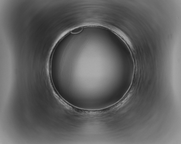 X0000116550958200912171346