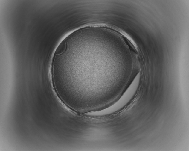 X0000116550959200912171346