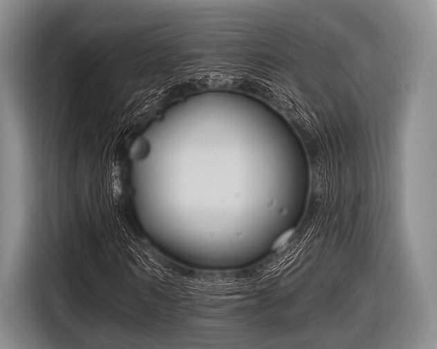 X0000116550962200912171346