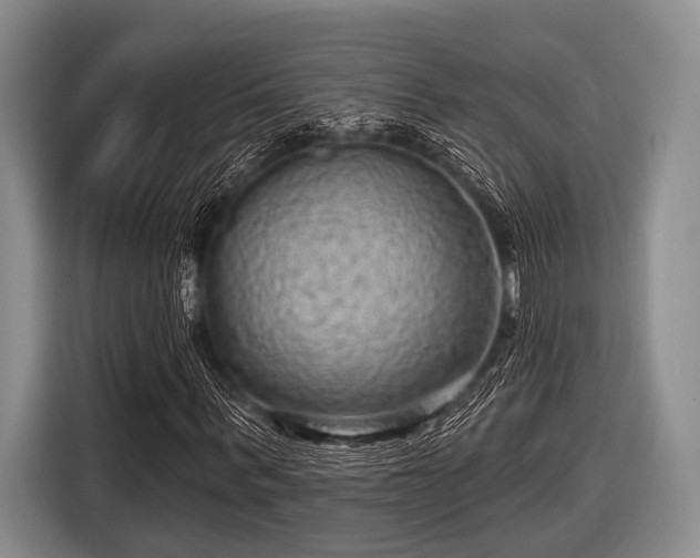 X0000116550963200912171346