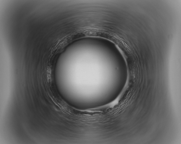 X0000116550964200912171346