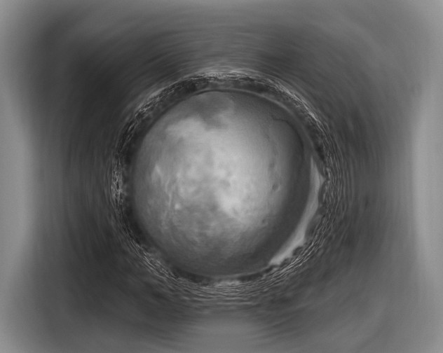 X0000116550966200912171346