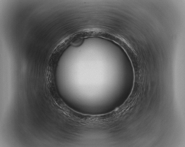 X0000116550967200912171346