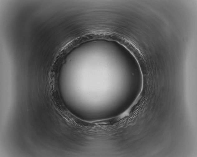 X0000116550968200912171346