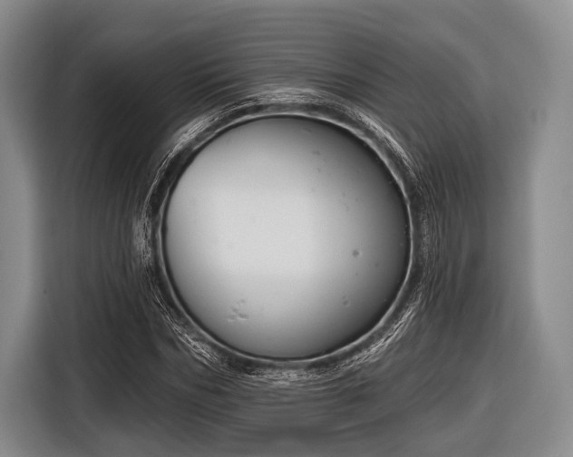 X0000116550970200912171346