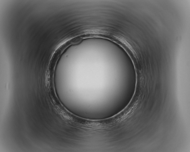 X0000116550971200912171346