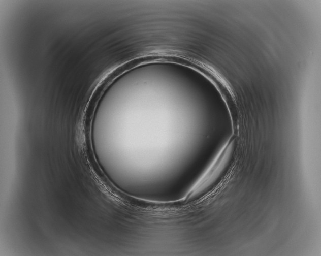 X0000116550972200912171346