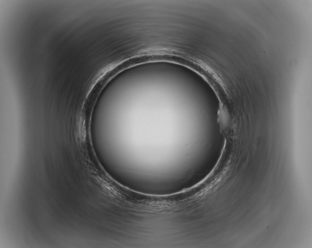 X0000116550973200912171346