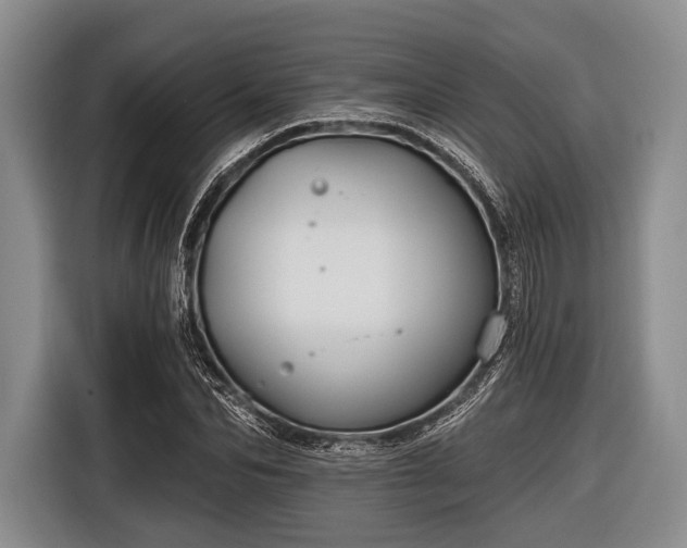 X0000116550974200912171346