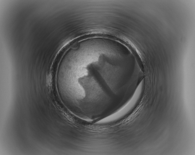 X0000116550975200912171345