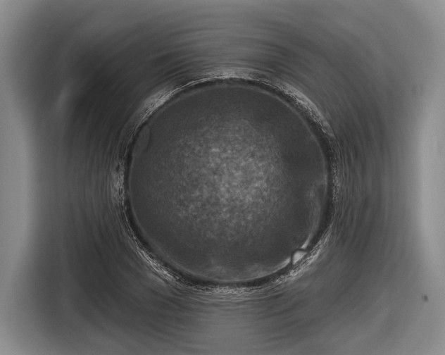 X0000116550977200912171345