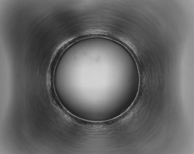 X0000116550979200912171345