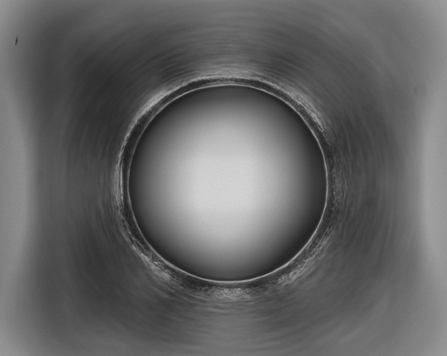 X0000116550982200912171345